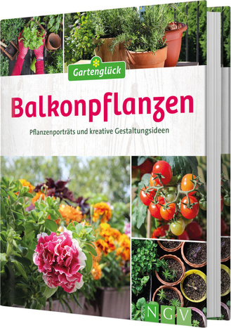 Balkonpflanzen Cover des Buches „Balkonpflanzen“