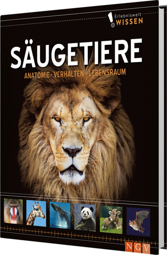 Erlebniswelt Wissen Säugetiere Cover des Buches „Erlebniswelt Wissen Säugetiere“