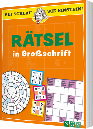 Cover des Buches „Rätsel in Großschrift“