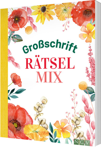 Großschrift Rätselmix Cover des Buches „Großschrift Rätselmix“