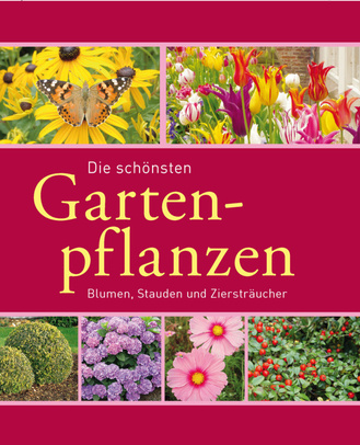 Die schönsten Gartenpflanzen Cover des Buches „Die schönsten Gartenpflanzen“