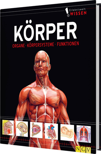 Erlebniswelt Wissen Körper Cover des Buches „Erlebniswelt Wissen Körper“